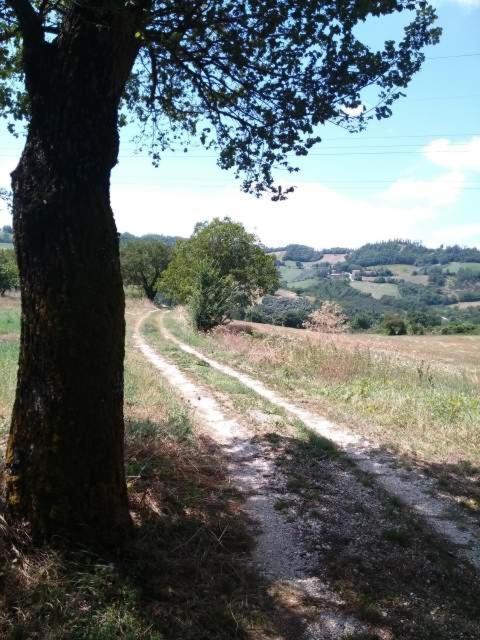 Casa Vacanze Campo D'Arco Nocera Umbra Dış mekan fotoğraf